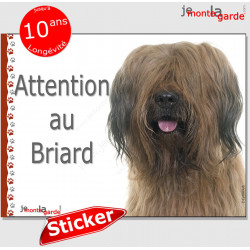 Briard fauve, autocollant "Attention au Chien" 16 cm