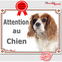 Cavalier King Charles Blenheim Tête, plaque portail "Attention au Chien" pancarte photo panneau blanc et orange marron