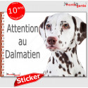 Dalmatien, autocollant "Attention au Chien" 16 cm