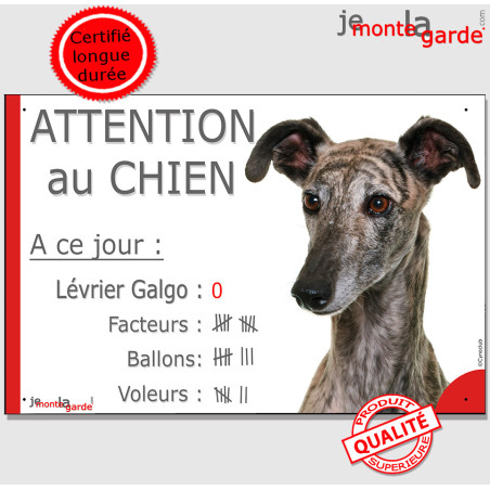 Lévrier Galgo Espagnol bringé, plaque portail humour "Attention au Chien, Nombre de Voleurs, ballons, facteurs" photo, résiste p