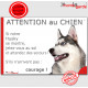 Husky Gris, Panneau "Attention au Chien, jetez-vous au sol et attendez des secours, courage !" marrant affiche plaque photo