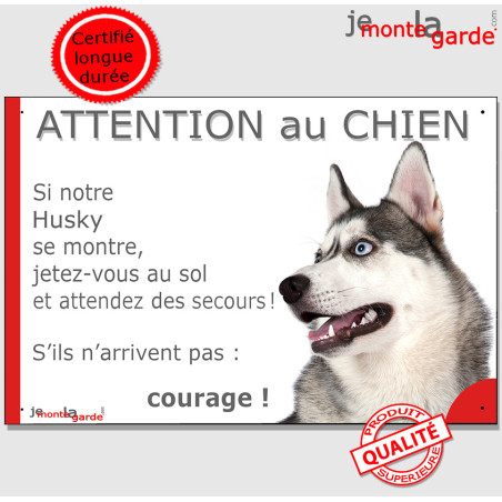Husky Sibérien Gris yeux bleus, plaque portail humour "Attention au Chien, jetez-vous au sol et attendez des secours, courage !"