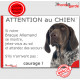 Braque Allemand marron foie, plaque "Attention au Chien, Jetez Vous au Sol" pancarte panneau drôle marrant photo