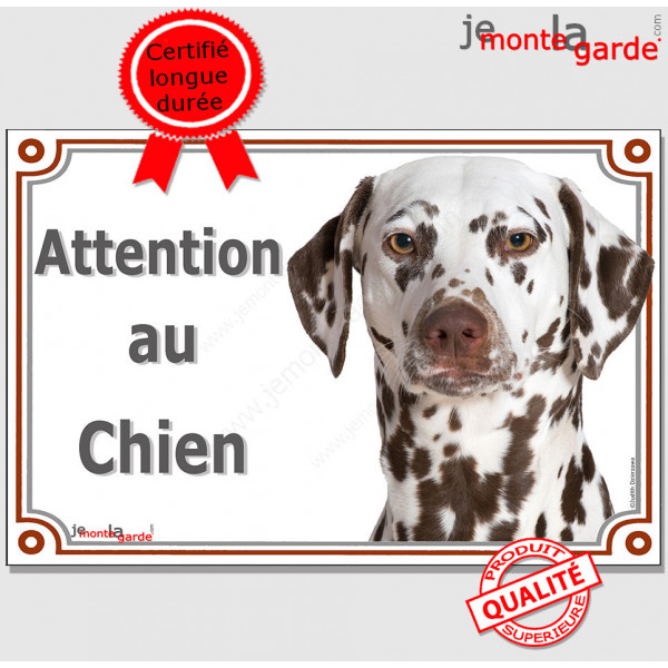 Dalmatien marron foie, plaque portail "Attention au Chien" pancarte panneau photo