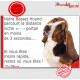 Basset Hund, plaque humour "parcourt distance Niche-Portail moins 3 secondes, rapide" pancarte photo attention au chien