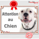 Dogue Argentin Gentil Tête, Plaque portail "Attention au Chien" panneau affiche pancarte photo