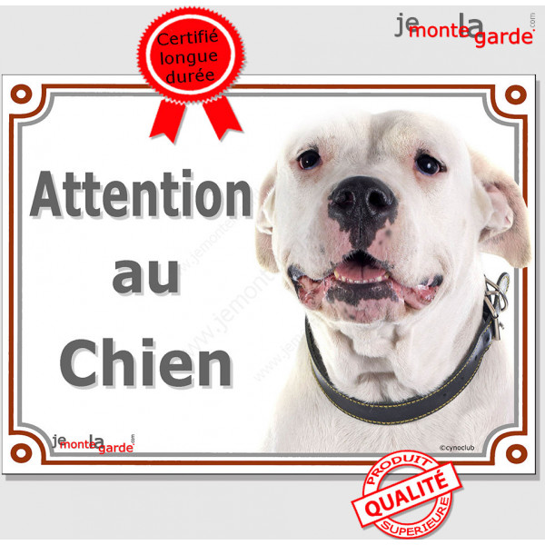 Dogue Argentin Gentil Tête, Plaque portail "Attention au Chien" panneau affiche pancarte photo