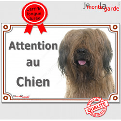 Briard Fauve Tête, Plaque portail "Attention au Chien" panneau affiche pancarte Berger de Brie marron photo