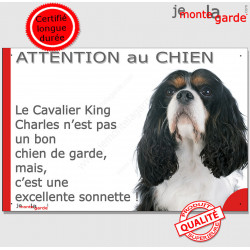 Plaque Attention au Chien, notre York est une sonnette 24 cm