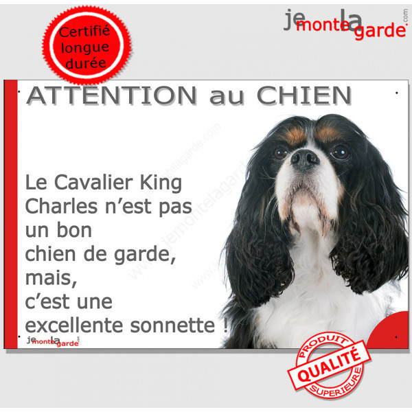 Plaque "Attention au Chien, notre Cavalier King Charles tricolore est une excellente sonnette" pancarte photo panneau humour