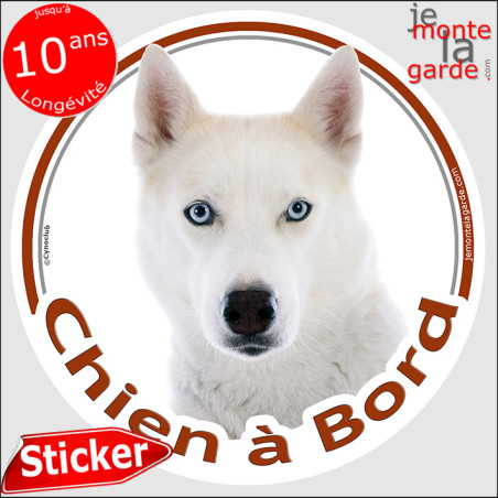 Husky Sibérien tout blanc yeux bleus Tête, sticker autocollant rond "Chien à Bord" Disque adhésif vitre voiture photo, résiste p