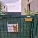 photo client - Chihuahua roux orange poils longs, plaque portail "Attention au Chien" pancarte panneau fauve