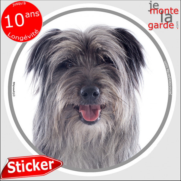 Labrit gris, sticker autocollant rond "photo" intérieur ou Extérieur Berger des Pyrénées adhésif chien résiste dehors arlequin