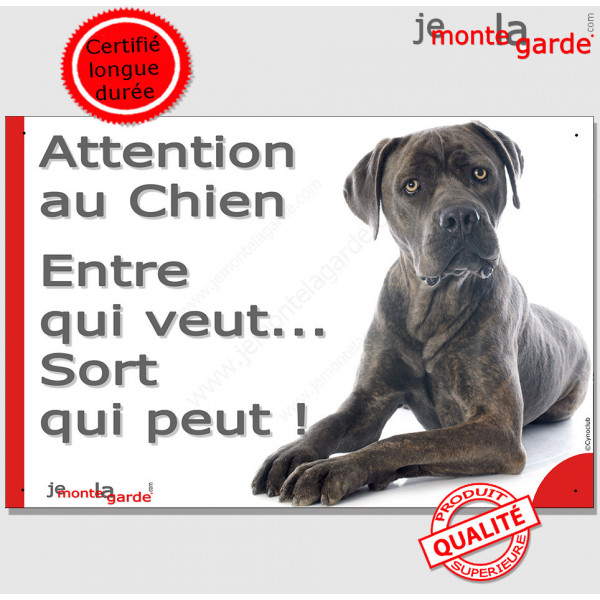 Plaque portail photo humour Cane Corso gris "Attention au Chien, Entre qui veut..." Pancarte drôle, panneau marrant