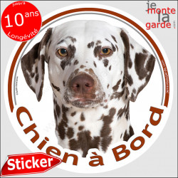 Dalmatien, sticker voiture "Chien à Bord" 14 cm