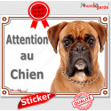 Boxer fauve, autocollant photo "Attention au Chien" 16 cm