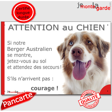 Aussie rouge merle vairon, plaque portail humour "Jetez Vous au Sol, Attention au Chien" Berger Australien oeil bleu pancarte
