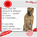 Shar-Peï Fauve, plaque humour "distance Niche - Portail" 24 cm 3SEC