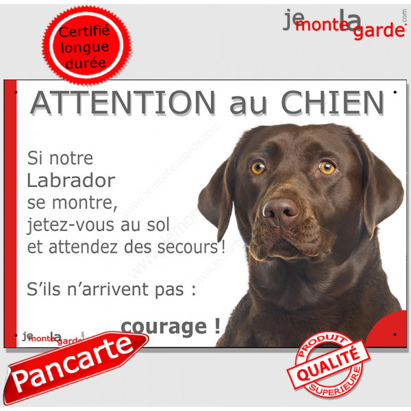 Labrador Chocolat, Panneau portail humour "Attention au Chien, jetez-vous au sol attendez secours courage" photo marron brun