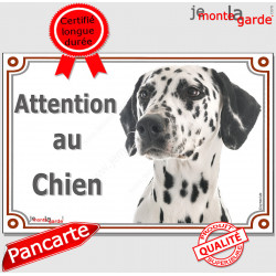 Dalmatien Tête, plaque portail "Attention au Chien" pancarte panneau photo race
