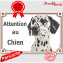 Dalmatien, plaque portail "Attention au Chien" 2 tailles LUX D