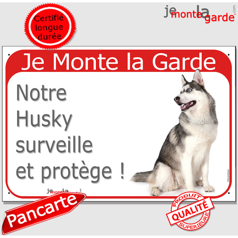 Husky Sibérien Gris et blanc, plaque portail rouge "Je Monte la Garde, surveille et protège" pancarte fluo visible photo Husky Sibérien Gris et blanc, plaque portail rouge "Je Monte la Garde, surveille et protège" pancarte fluo visible photo