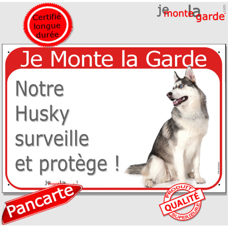 Husky Sibérien Gris et blanc, plaque portail rouge "Je Monte la Garde, surveille et protège" pancarte fluo visible photo