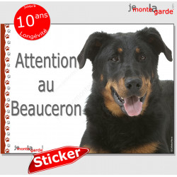 Beauceron, autocollant photo "Attention au Chien" 16 cm