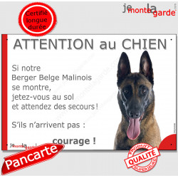 Berger Belge Malinois, plaque portail humour "Attention au Chien, jetez vous au sol, attendez secours" pancarte drôle photo