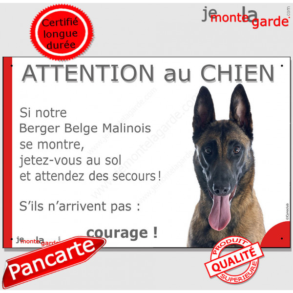 Berger Belge Malinois, plaque portail humour "Attention au Chien, jetez vous au sol, attendez secours" pancarte drôle photo