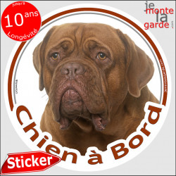 Dogue de Bordeaux face rouge Tête, sticker autocollant rond "Chien à Bord" Disque adhésif vitre voiture chien photo