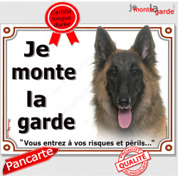 Berger Belge Tervueren tête, plaque portail "Je Monte la Garde, risques et périls" pancarte panneau photo tervuren attention