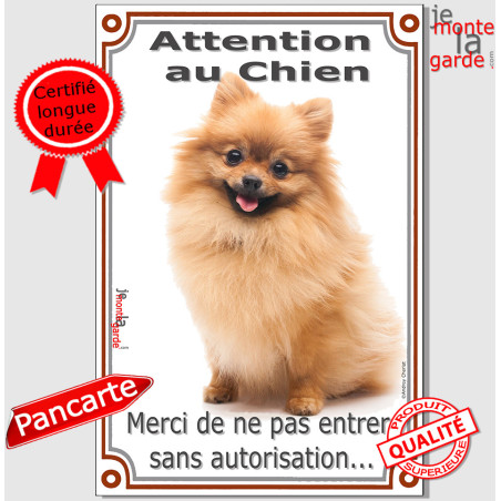 Spitz Loulou fauve marron orange Assis, plaque portail verticale "Attention au Chien, merci de ne pas entrer sans autorisation" 