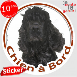 Cocker USA, sticker voiture "Chien à Bord" 14 cm