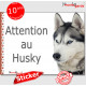 Husky Sibérien blanc gris, Panneau sticker autocollant "Attention au Chien", Photo pancarte plaque adhésif affiche yeux bleus