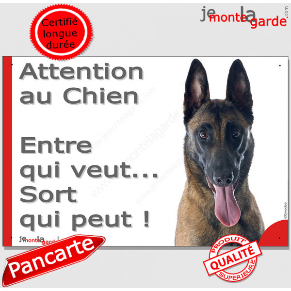 Berger Belge Malinois, plaque portail humour "Attention au Chien, Entre qui veut, sort qui peut !" photo pancarte panneau drôle