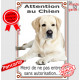 Labrador Sable Couché, affiche verticale portail "attention au chien, interdit sans autorisation" plaque pancarte panneau, photo