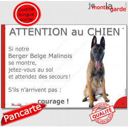 Berger Belge Malinois assis, plaque humour "Attention au Chien, Jetez Vous au Sol" pancarte panneau portail photo