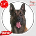 Malinois, disque autocollant rond "photo" 14 cm