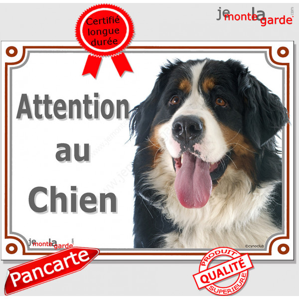 Bouvier Bernois Tête, plaque "Attention au Chien" pancarte panneau photo