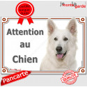 Berger Blanc Suisse, plaque portail "Attention au Chien" 24 cm LUX