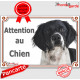 Epagneul Breton noir Tête, plaque portail "Attention au Chien" pancarte portail pluriel photo