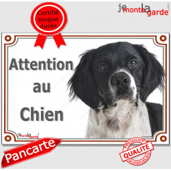 Epagneul Breton noir Tête, plaque portail "Attention au Chien" pancarte portail pluriel photo