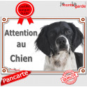 Epagneul Breton, plaque portail "Attention au Chien" 2 tailles LUX D