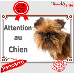 Griffon Bruxellois tête, plaque portail "Attention au Chien" pancarte panneau affiche photo race