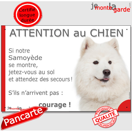 Samoyede, plaque portail humour "Attention au Chien, Jetez Vous au Sol, attendez secours, courage" photo Sam blanc, résiste plui