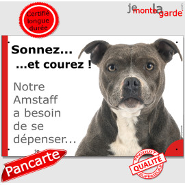 Plaque portail humour "Sonnez et Courez ! Notre Amstaff bleu besoin de se dépenser" photo Attention au Chien American Staff gris