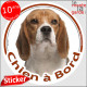 Beagle blanc et fauve Tête, sticker autocollant rond "Chien à Bord" Disque adhésif vitre voiture photo
