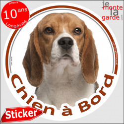 Beagle, sticker voiture rond "Chien à Bord" 2 tailles