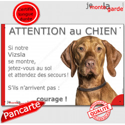 Vizsla, Braque Hongrois, plaque portail humour "Attention au Chien, Jetez Vous au Sol, attendez secours, courage" photo pancarte